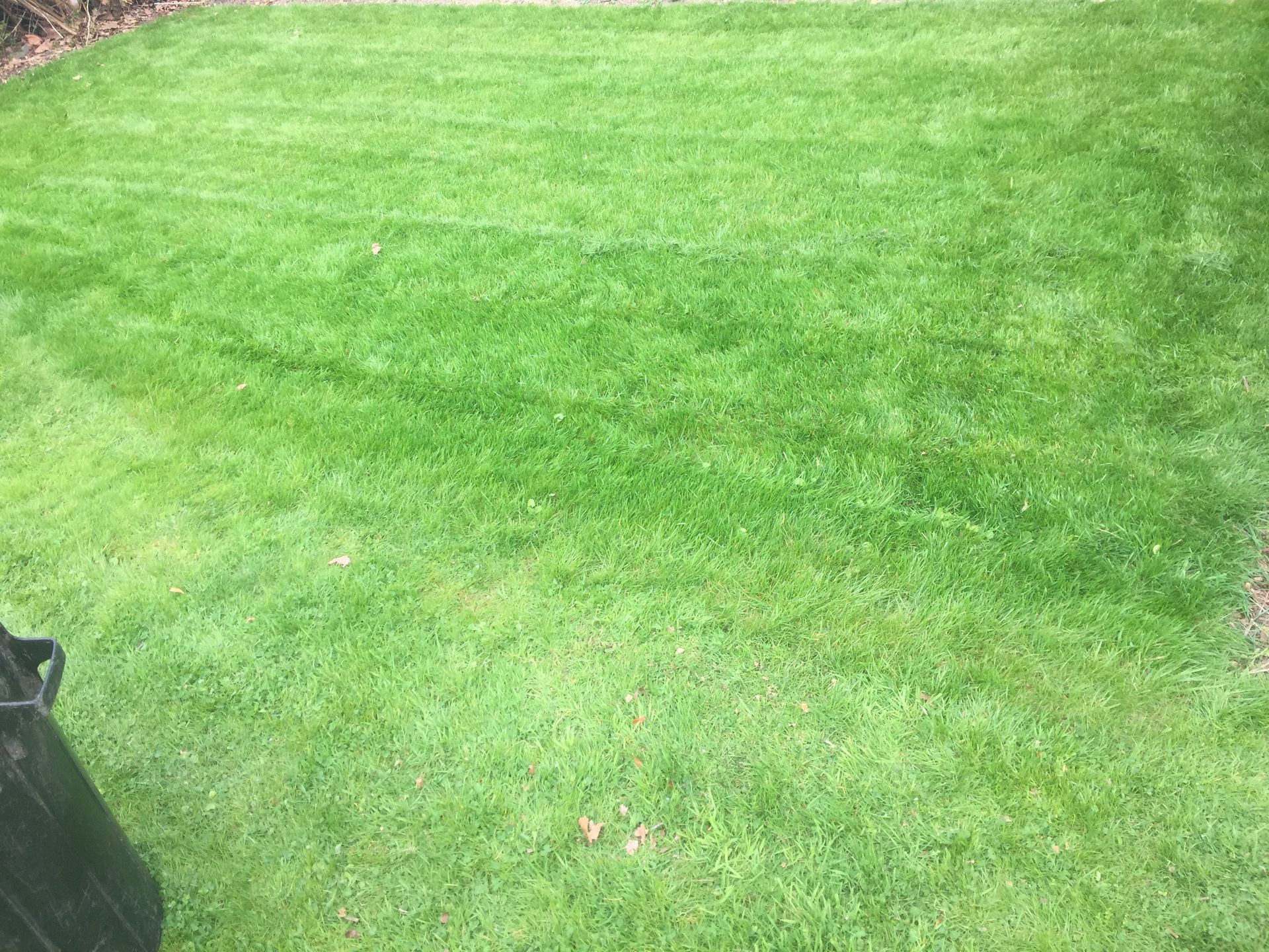 Artificial grass