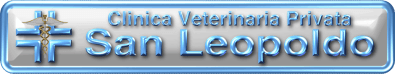 CLINICA SAN LEOPOLDO-LOGO CLINICA SAN LEOPOLDO-LOGO