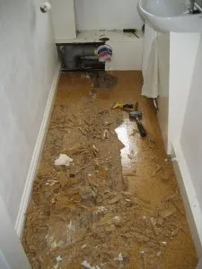 Gallery-Toilet&FloorReplace-2