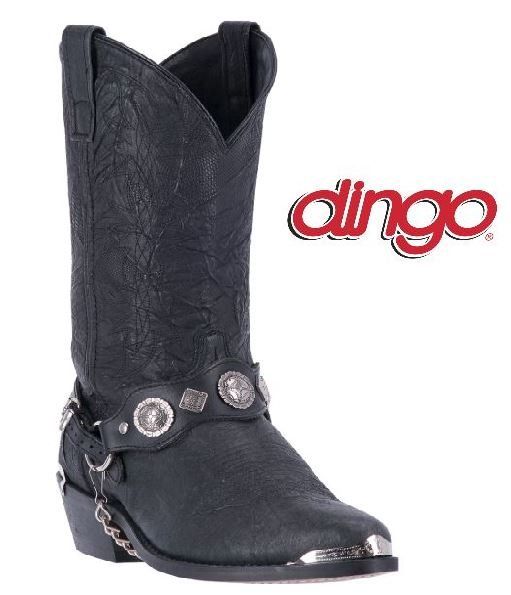dingo