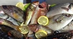 menu personalizzati, menu alla carta, piztti di pesce