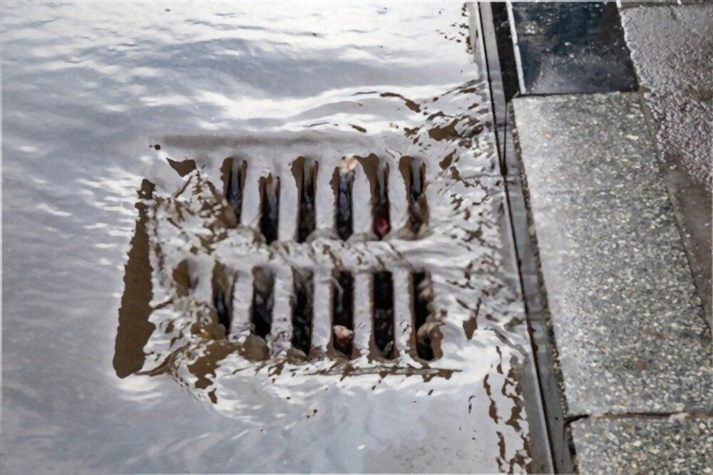 First Call Septic Tank Service Offers Sewer & Storm Drain Services for over twenty years.