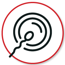 Icon representing IVF with a stylized sperm and egg design inside a red circular outline, text 'IVF' in bold red letters
