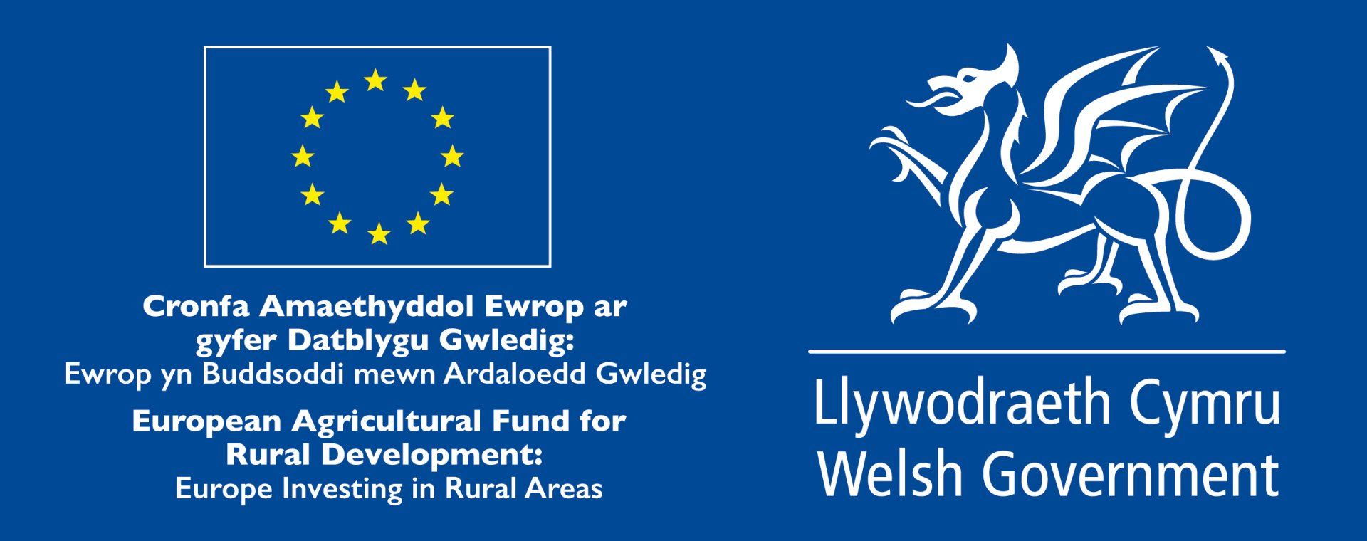 Welsh government grants