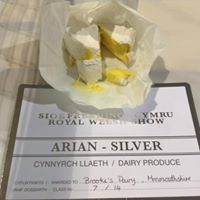 Royal welsh silver award for Angiddy