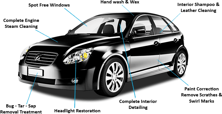 Car Diagram — Auto Detailing in Branchburg, NJ