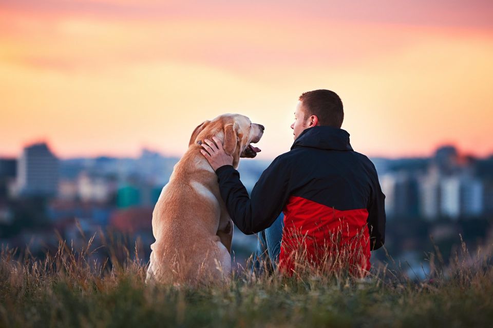 Dog and Owner Watching the Sunset — Goldsboro, NC — Eli's Friends Dog and Owner Watching the Sunset — Goldsboro, NC — Eli's Friends