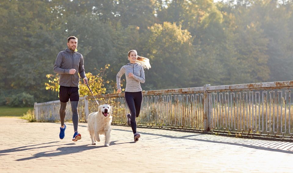 Couple Exercising with Dog — Goldsboro, NC — Eli's Friends Couple Exercising with Dog — Goldsboro, NC — Eli's Friends