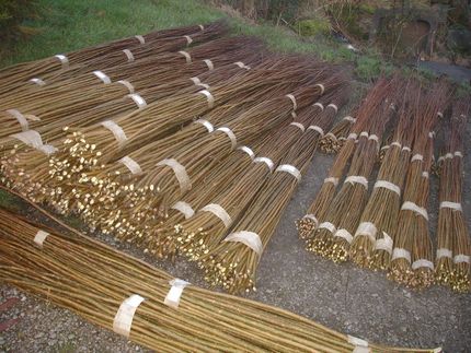 Willow Rods