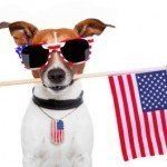 pup town fourth for dogs