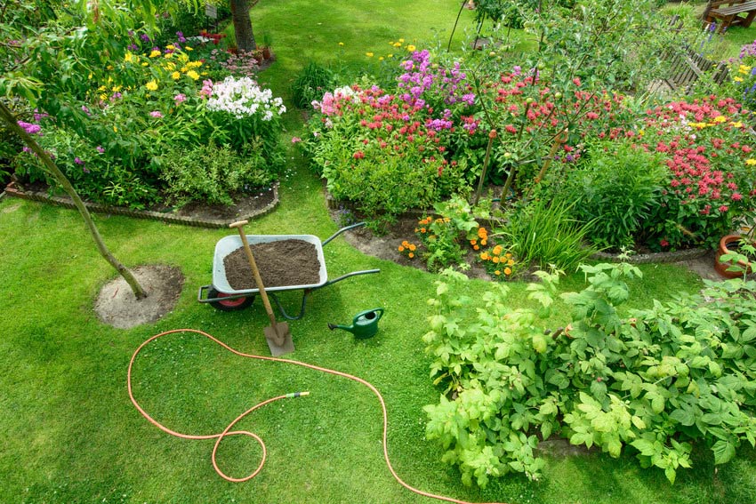 Garden maintenance in progress, with a wheelbarrow on a lawn