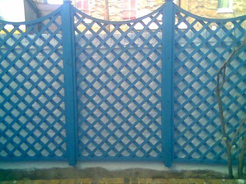 Trellis designs 10