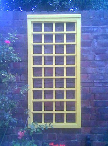 Trellis designs 14