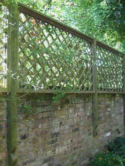 Trellis designs 15