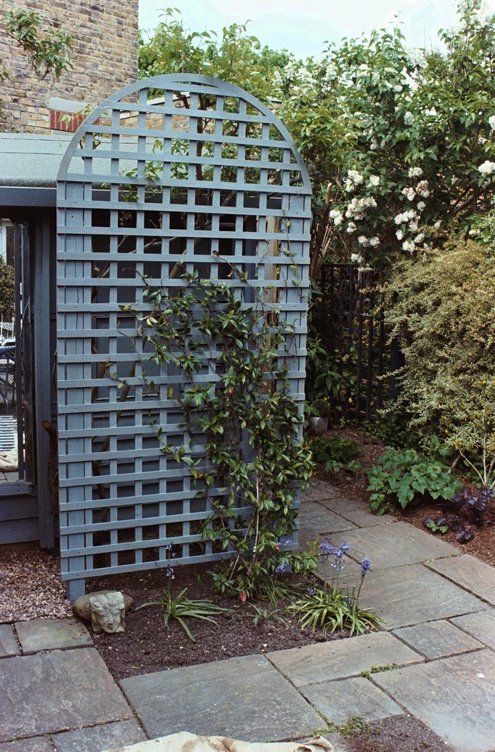 Trellis designs 19