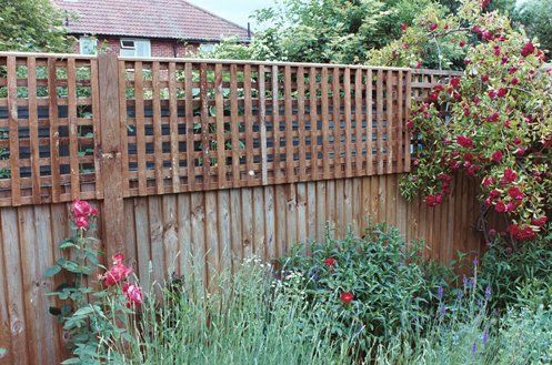 Trellis designs 20
