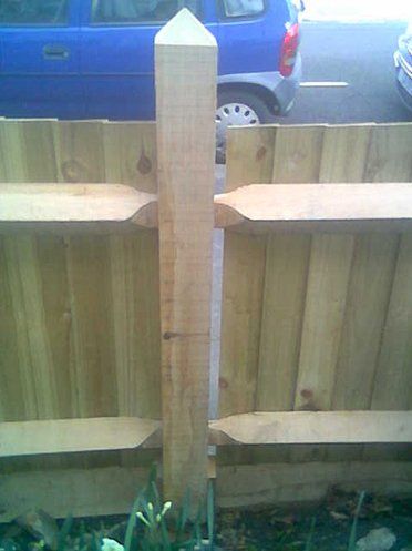 Fencing 1