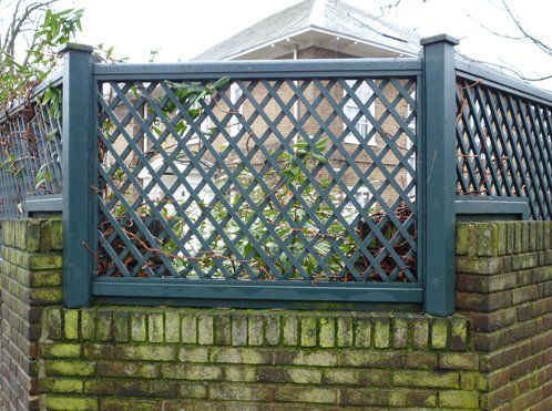Trellis designs 5