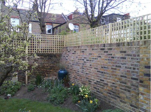 Trellis designs 7