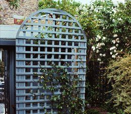 Trellis fencing