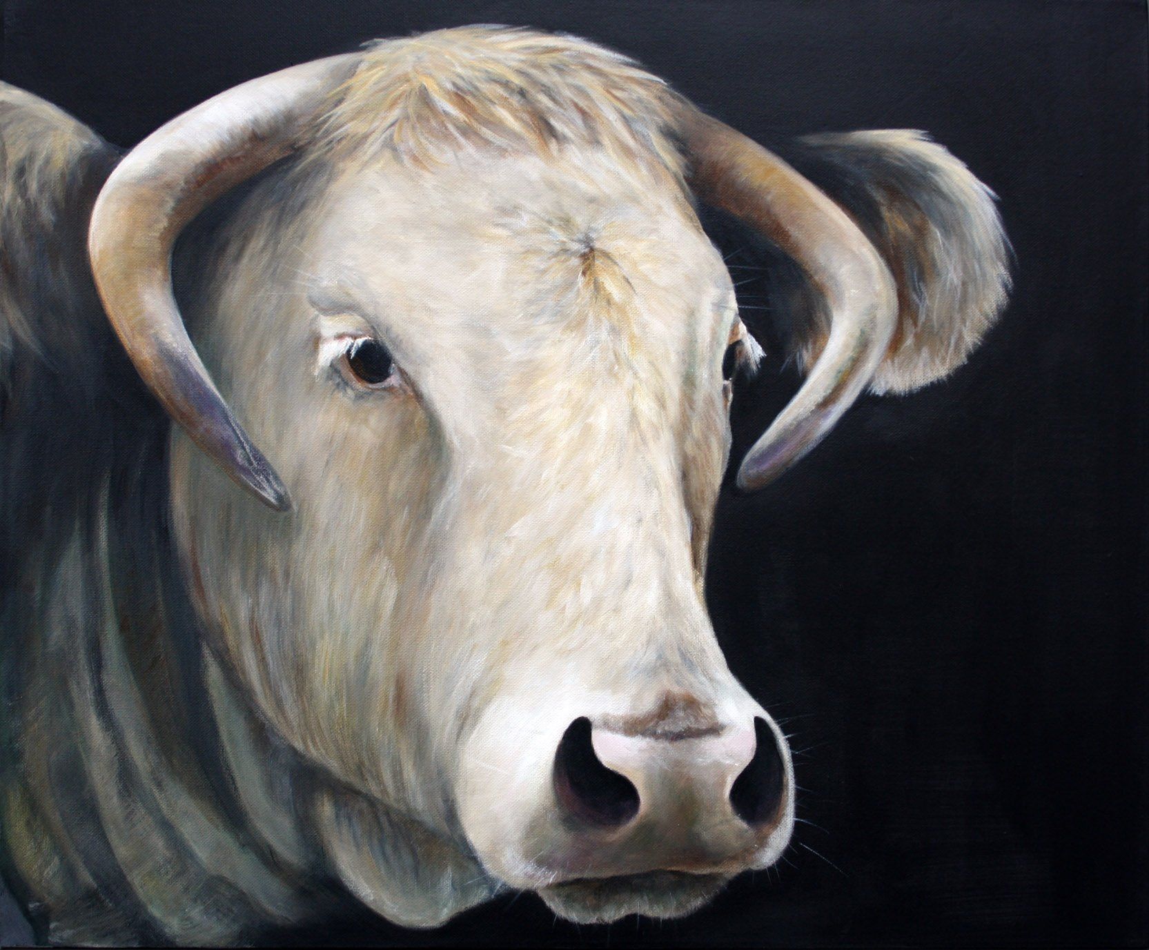 Blonde d'Aquitaine, geschilderd acryl op canvas