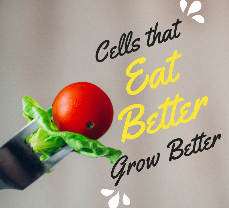What To Expect When You Improve Your Diet