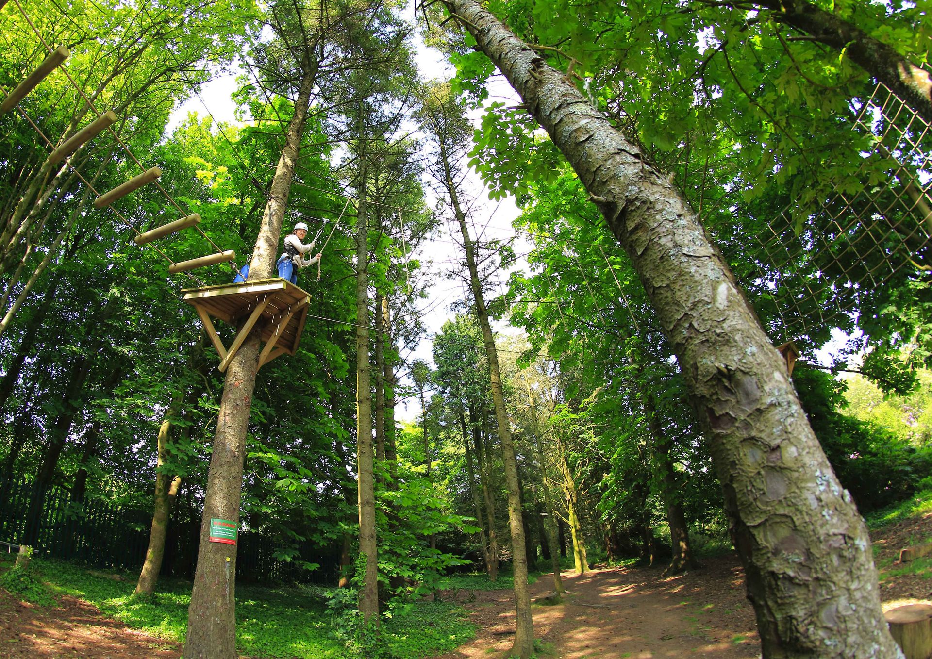 High Ropes