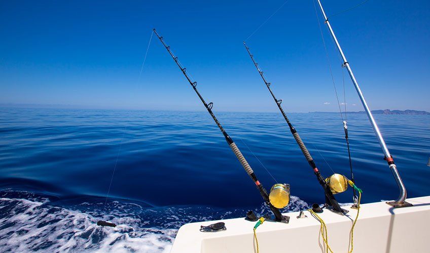 Boat Insurance Cairns