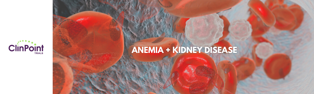 Anemia and Kidney Disease Graphic Anemia and Kidney Disease Graphic