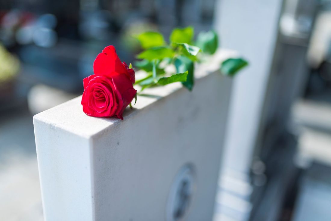 rosa rossa su lapide