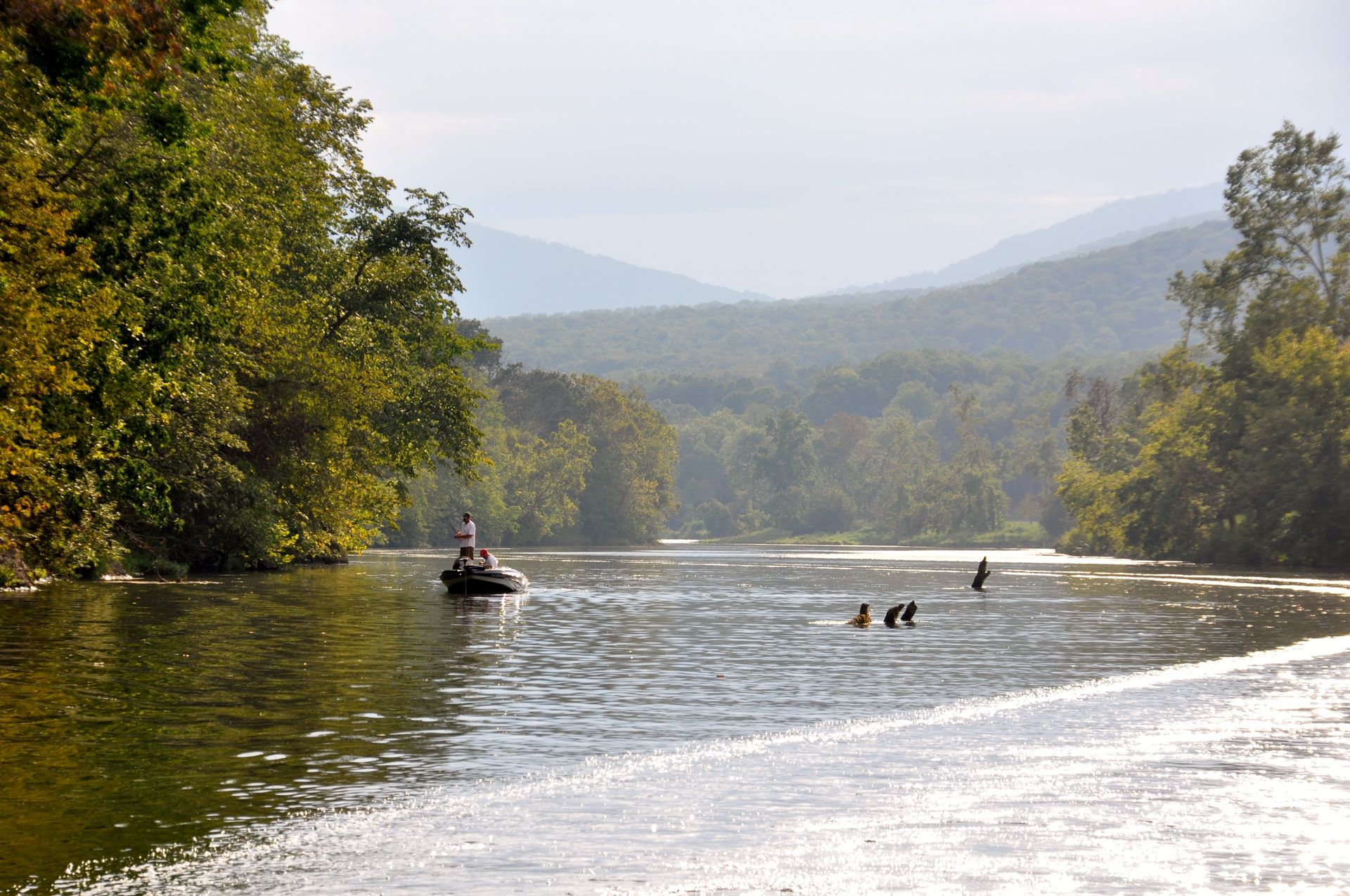 Luray RV RESORT & Campground
on Shenandoah River