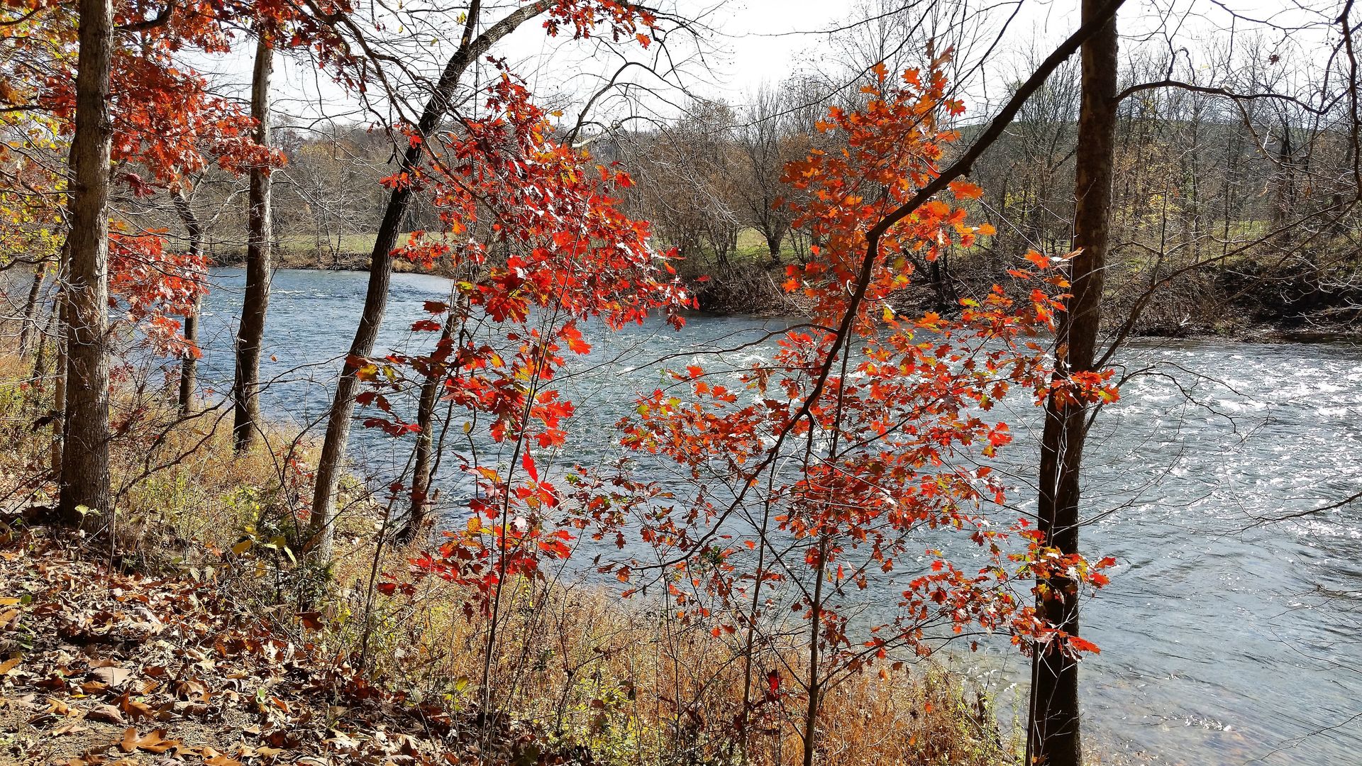 Luray RV RESORT & Campground
on Shenandoah River