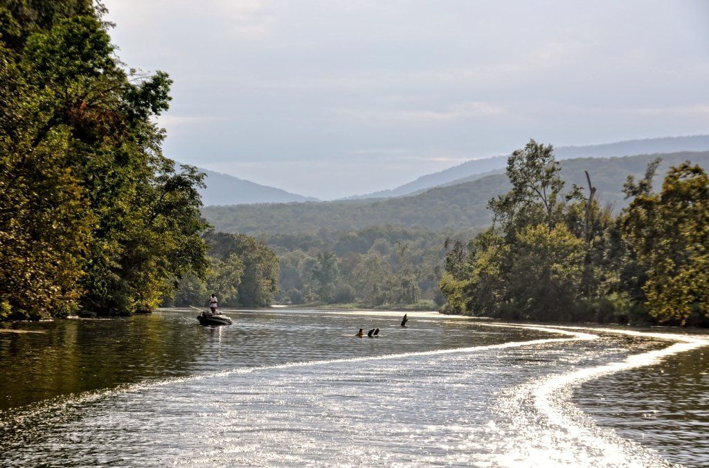 Luray RV RESORT & Campground
on Shenandoah River