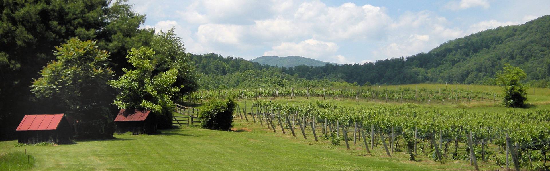 Luray RV RESORT & Campground
on Shenandoah River