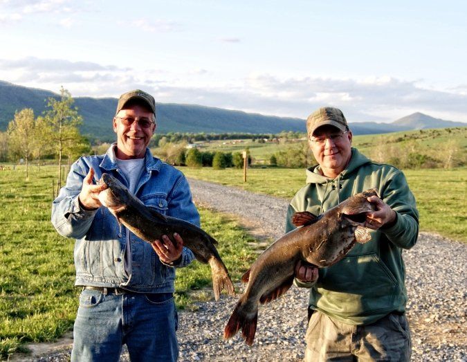 Luray RV RESORT & Campground
on Shenandoah River