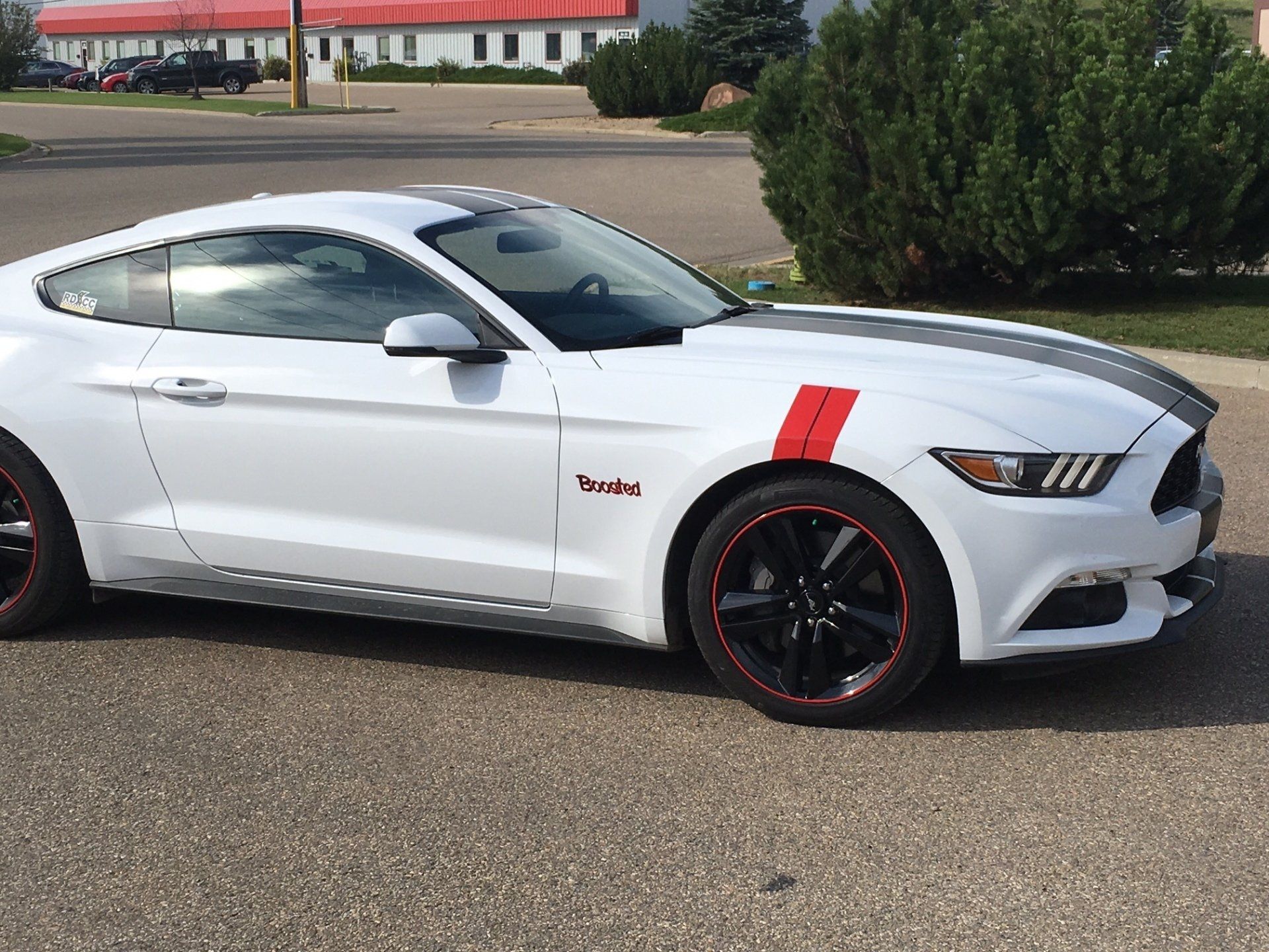 white mustang muscle car with small red muscle cars
