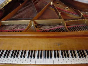 Keyboard Tuning — Wood Piano in Ortley Beach, NJ Keyboard Tuning — Wood Piano in Ortley Beach, NJ
