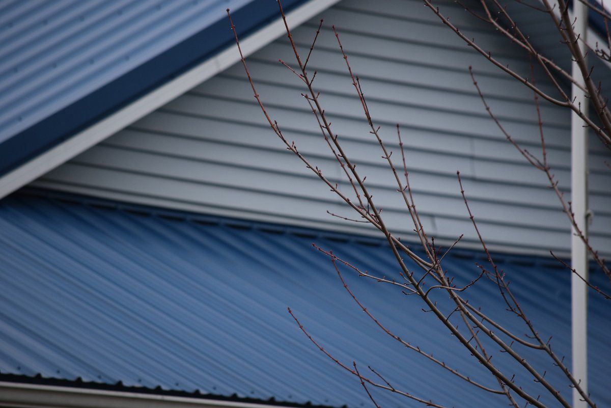 blue roof house