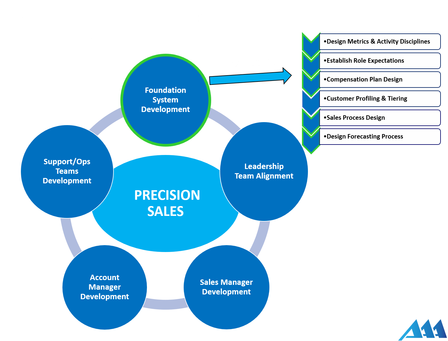 professional sales management
