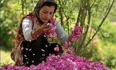 girl flower 