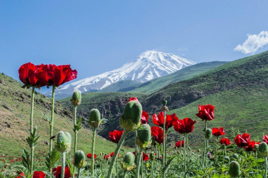 Lar National Park, Iran park