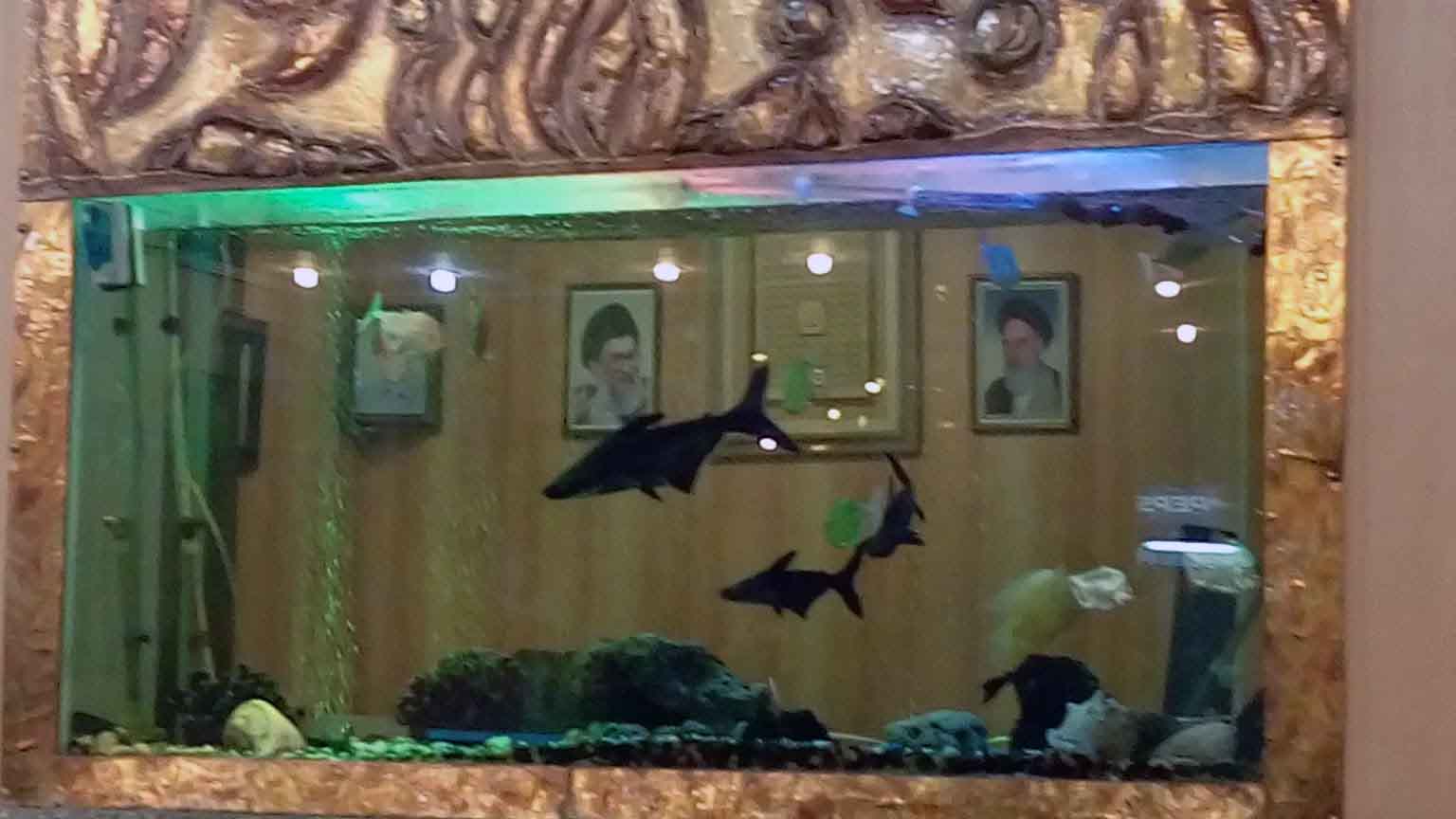 Tehran Venus Hotel Apartment ,apartment hotel in tehran, Tehran hotels, iran hotels