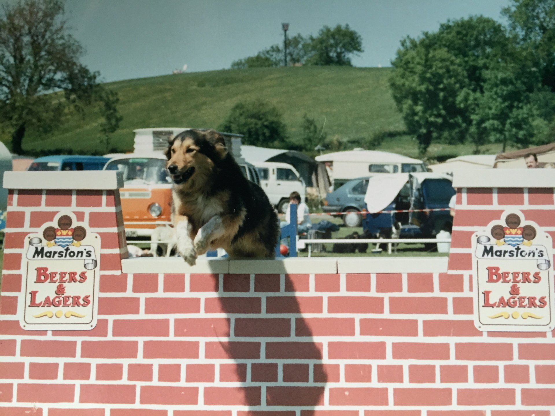 A dog jumping the Marston Brewey's wall. They sponsored the class at Leamington's agility show in 1980s