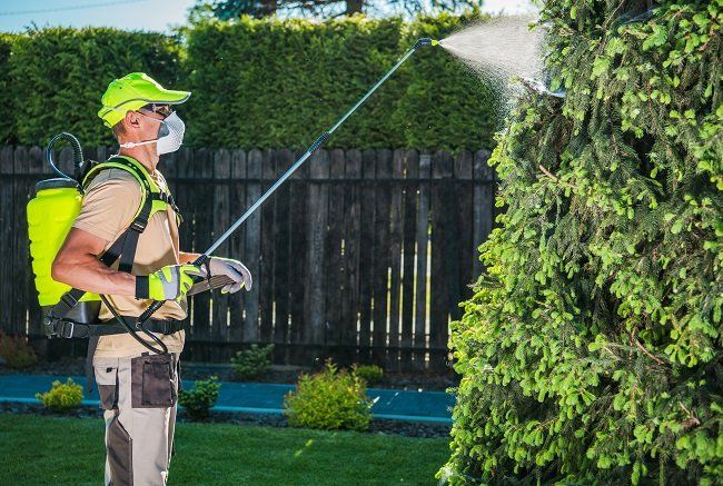 Disinfestazione di un giardino