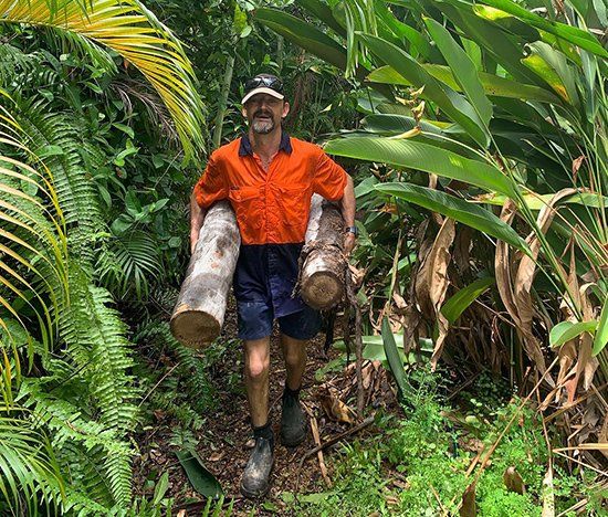 Removing Tree Trunk — Dave Brown All Round in Darwin, NT