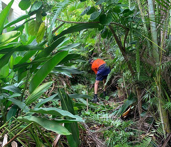 Garden Rubbish Removal — Garden Maintenance in Darwin, NT Garden Rubbish Removal — Garden Maintenance in Darwin, NT