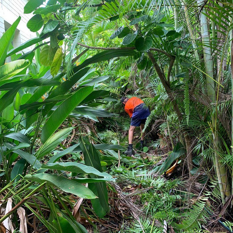 Dave Garden Cleaning — Property Maintenance in Darwin, NT