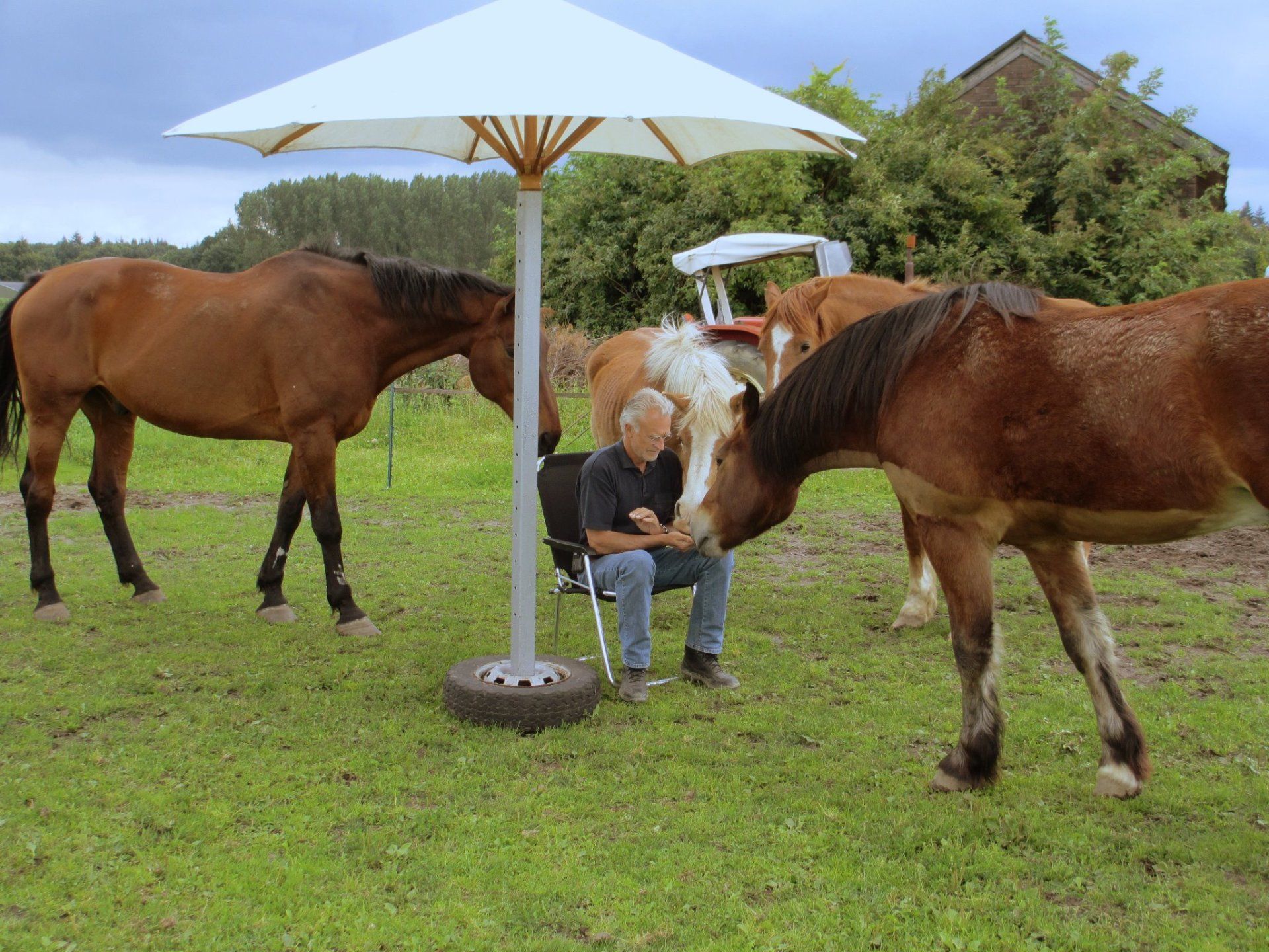 natuurlijke schriktraining