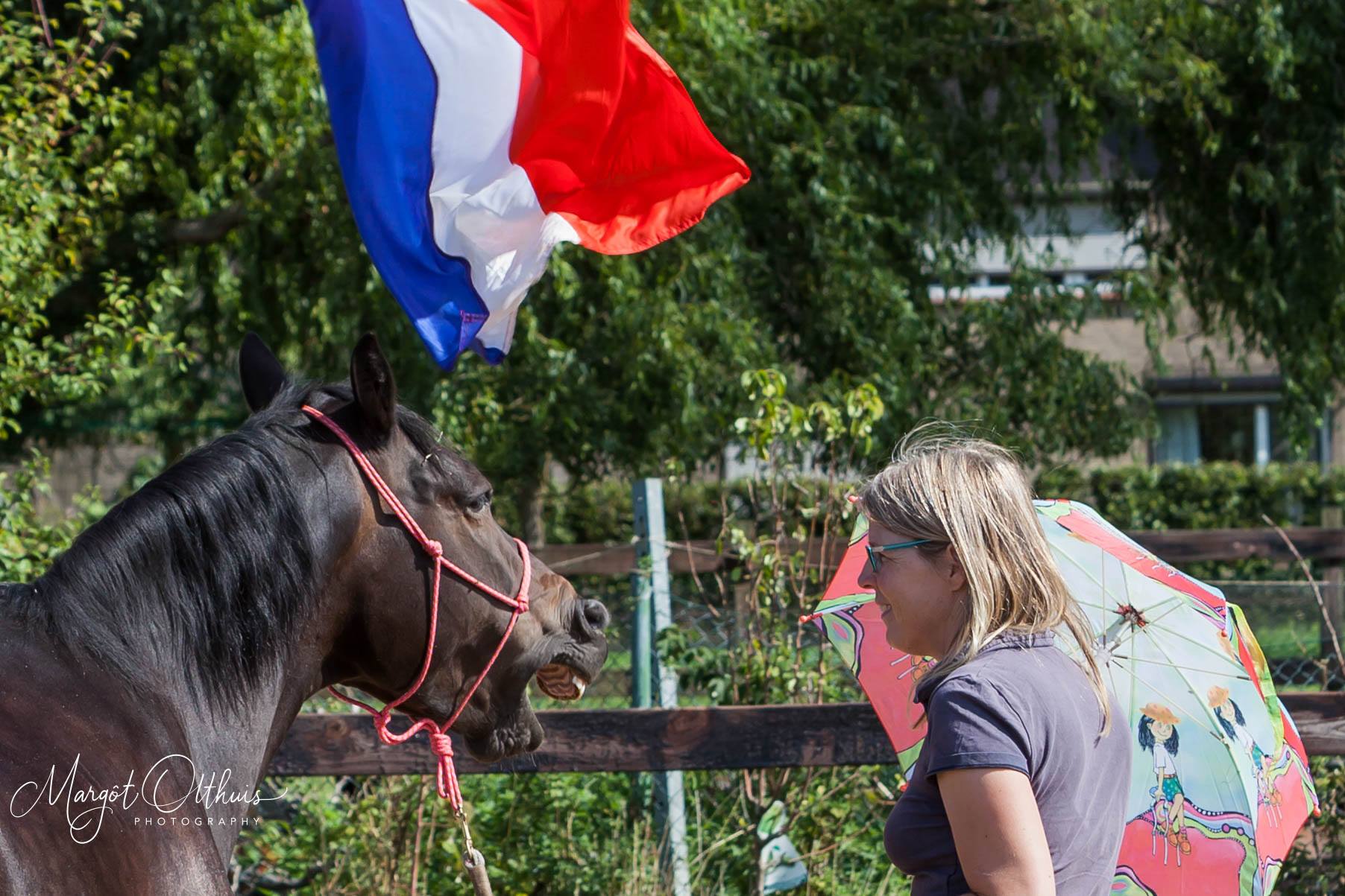 paraplu schriktraining