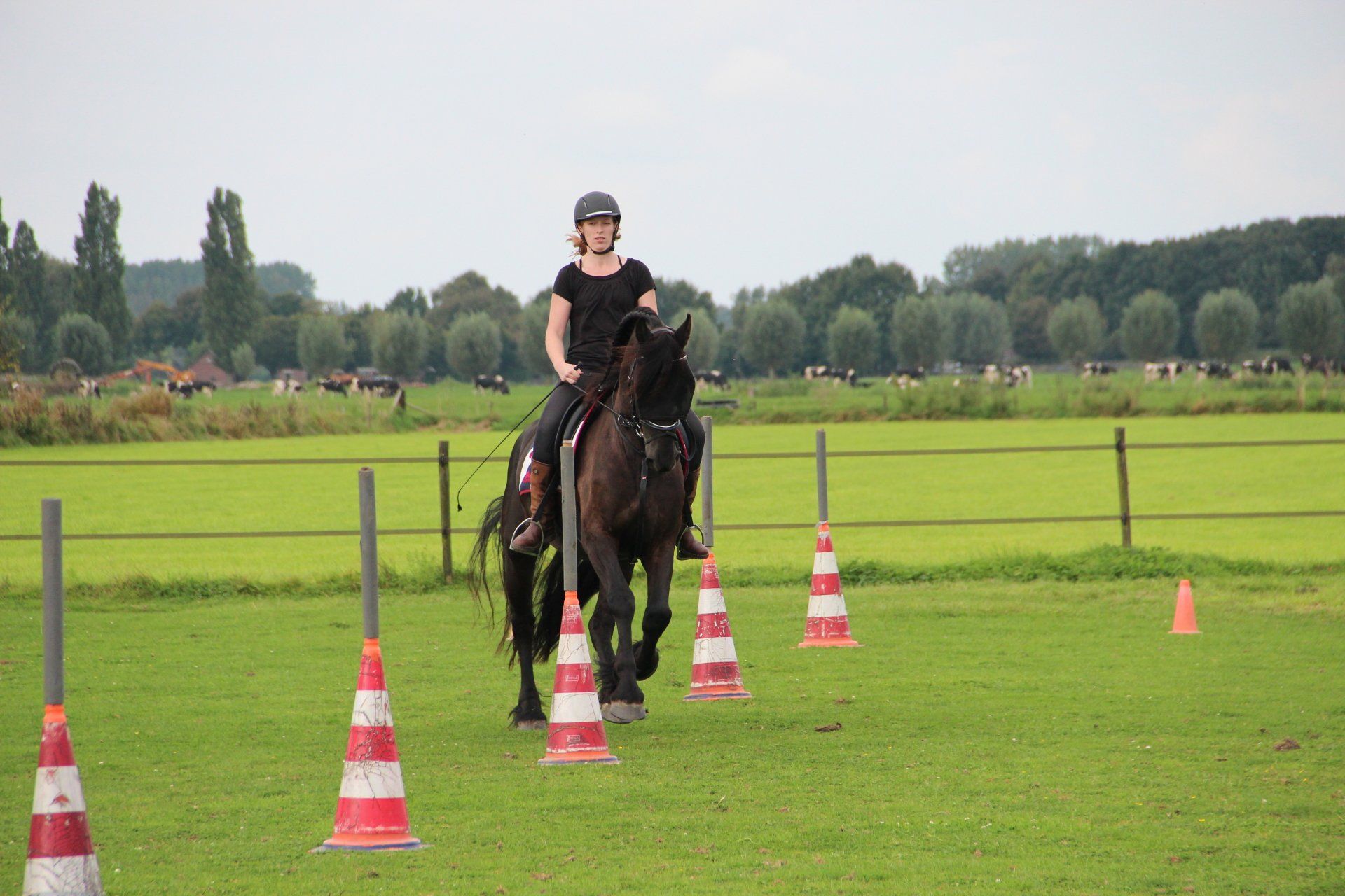 slalom PTV
